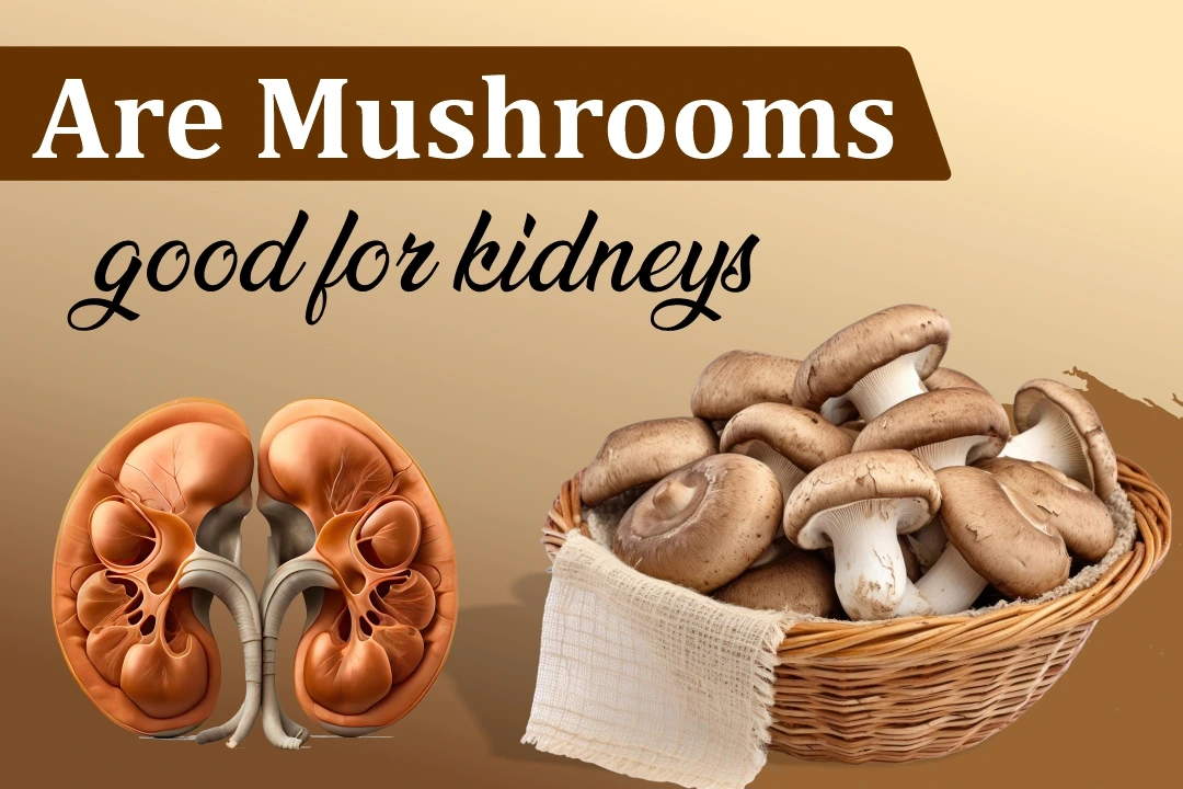 Are Mushrooms Good for Your Kidneys? What U.S. Kidney Experts Say